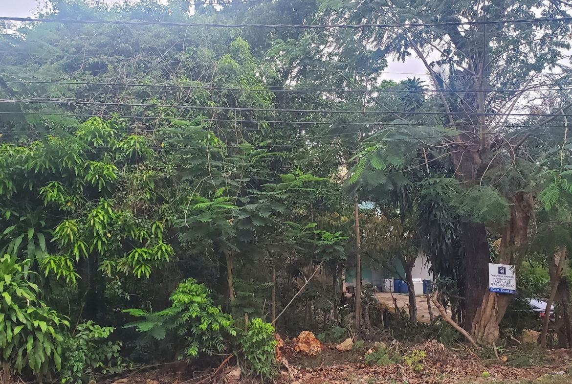 Second image of 58 Belvedere in Belvedere, St. Andrew, Jamaica - property is For Sale