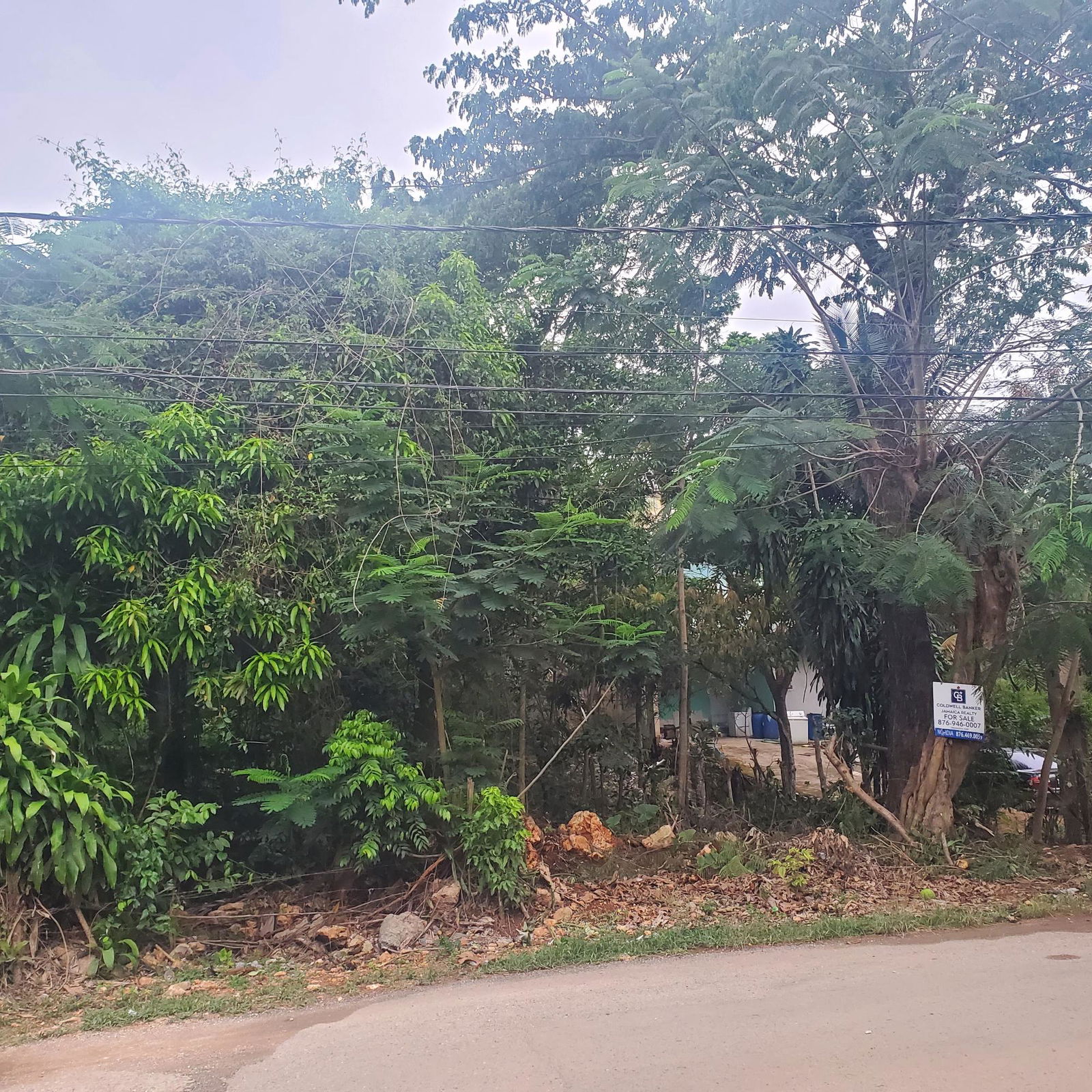 Second image of 58 Belvedere in Belvedere, St. Andrew, Jamaica - property is For Sale