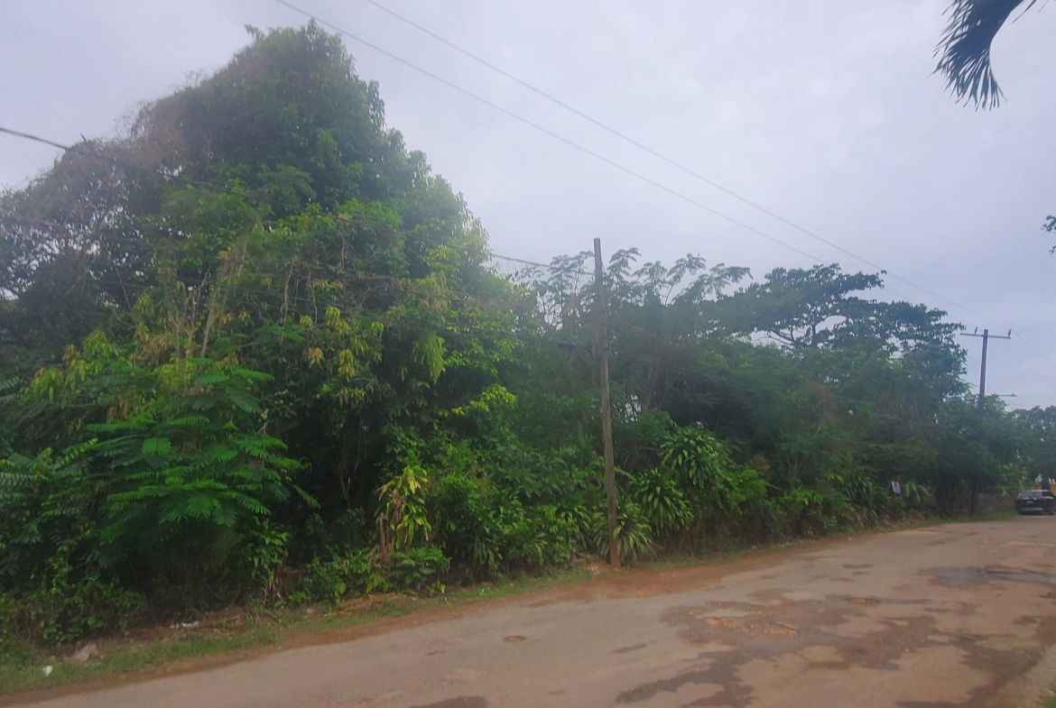 First image of 58 Belvedere in Belvedere, St. Andrew, Jamaica - property is For Sale