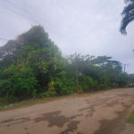 First image of 58 Belvedere in Belvedere, St. Andrew, Jamaica - property is For Sale