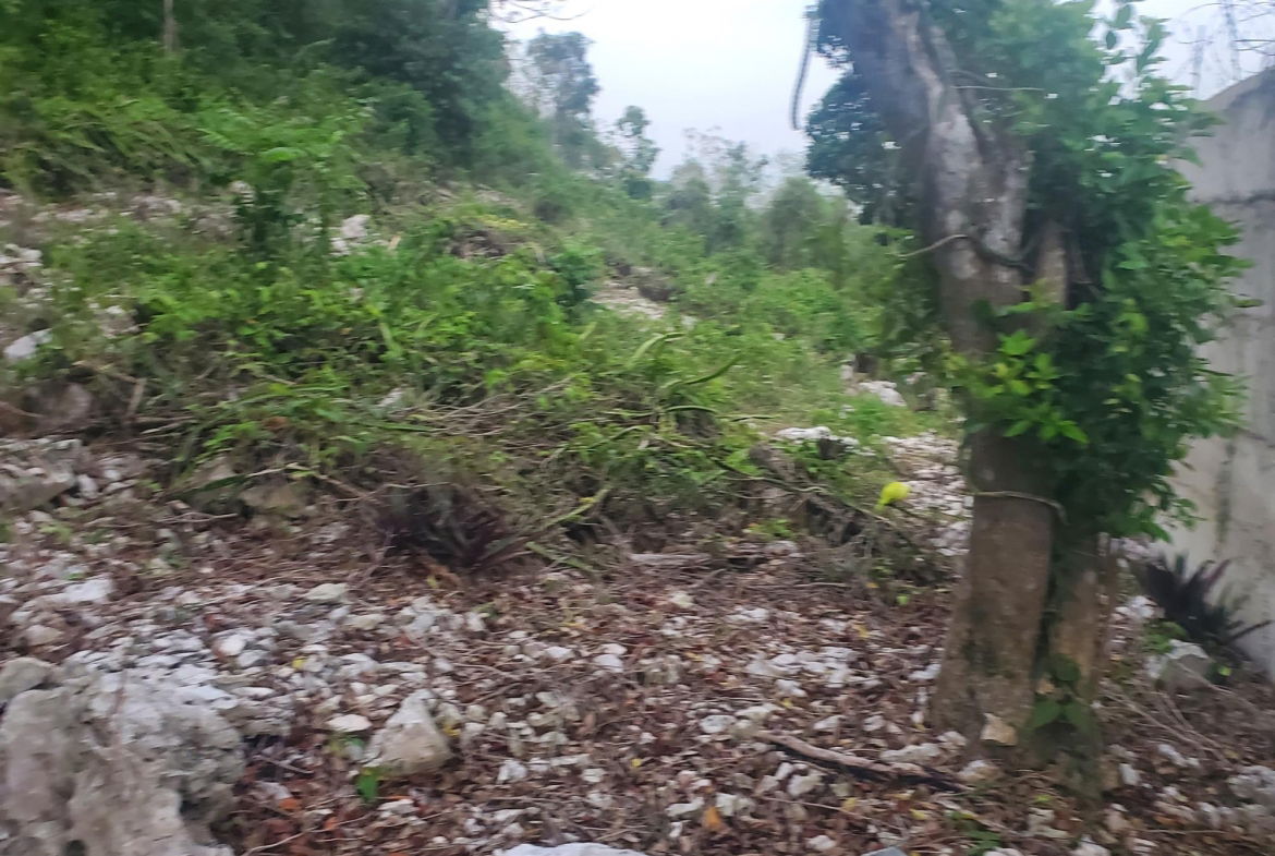 Third image of 58 Belvedere in Belvedere, St. Andrew, Jamaica - property is For Sale