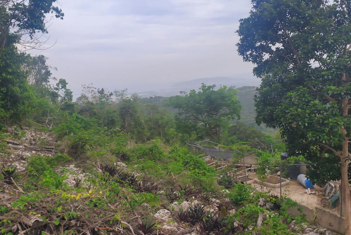 Fourth image of 58 Belvedere in Belvedere, St. Andrew, Jamaica - property is For Sale