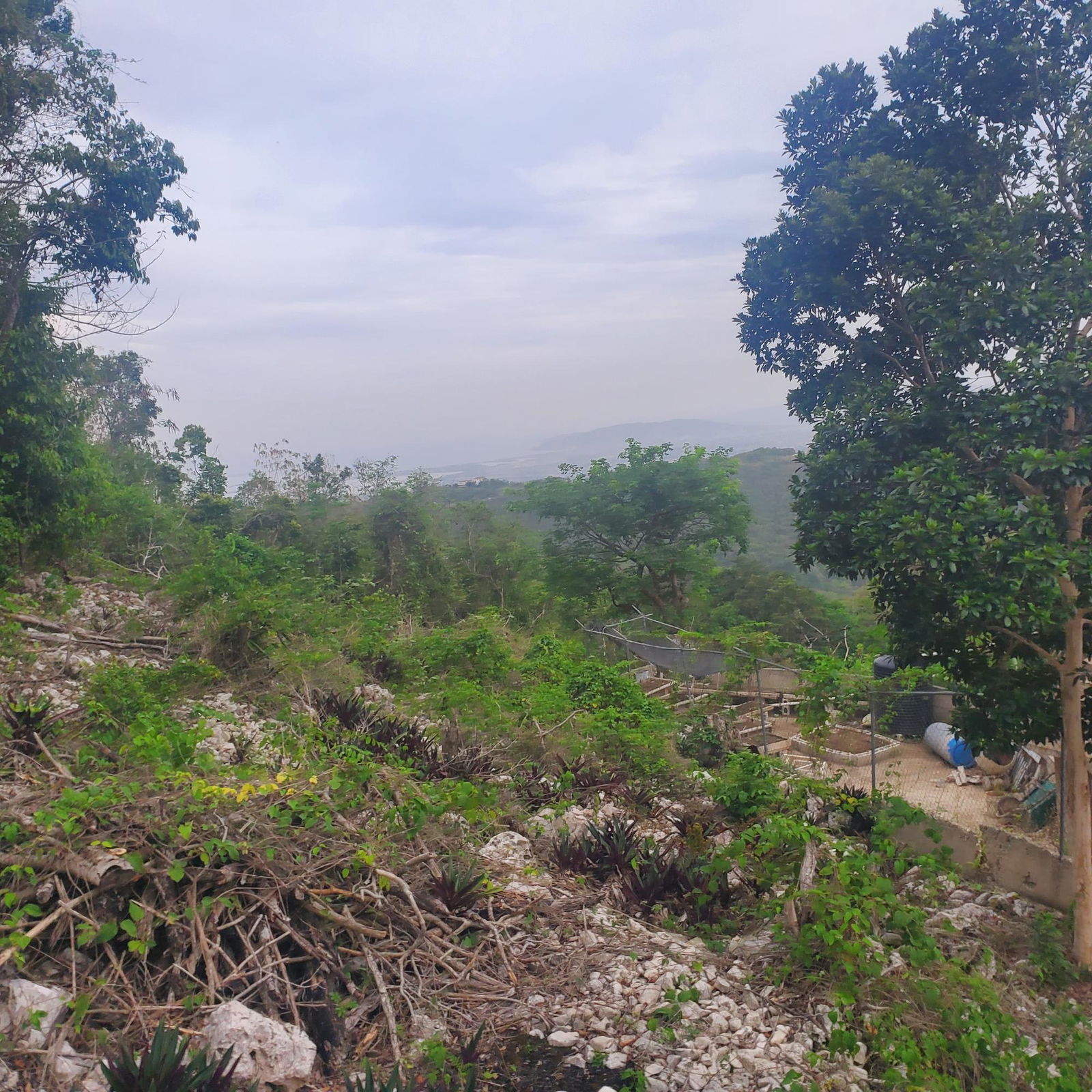 Fourth image of 58 Belvedere in Belvedere, St. Andrew, Jamaica - property is For Sale