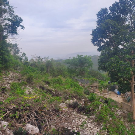 Fourth image of 58 Belvedere in Belvedere, St. Andrew, Jamaica - property is For Sale