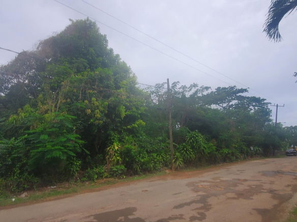 First image of 58 Belvedere in Belvedere, St. Andrew, Jamaica - property is For Sale