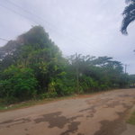 First image of 58 Belvedere in Belvedere, St. Andrew, Jamaica - property is For Sale