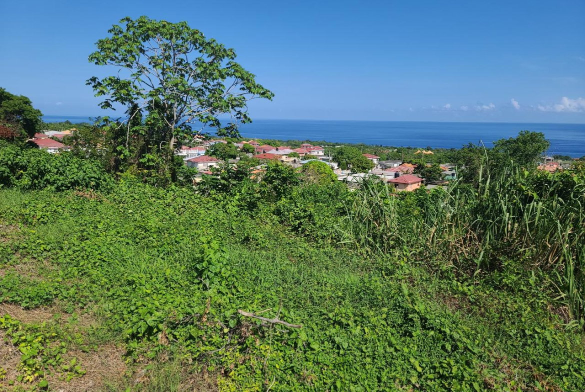 Second image of 2- Boscobel in Boscobel, St. Mary, Jamaica - property is For Sale