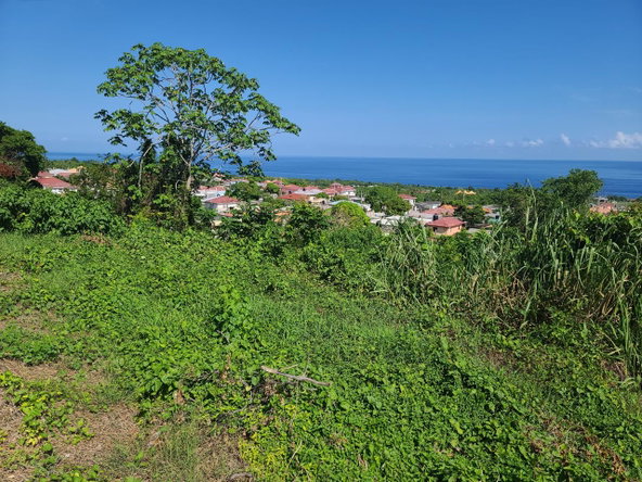 Second image of 2- Boscobel in Boscobel, St. Mary, Jamaica - property is For Sale