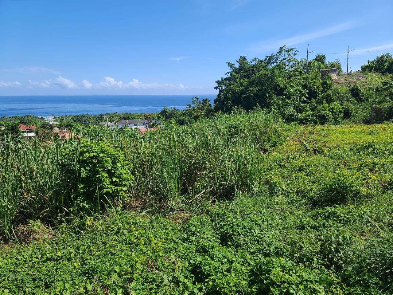 Eleventh image of 2- Boscobel in Boscobel, St. Mary, Jamaica - property is For Sale