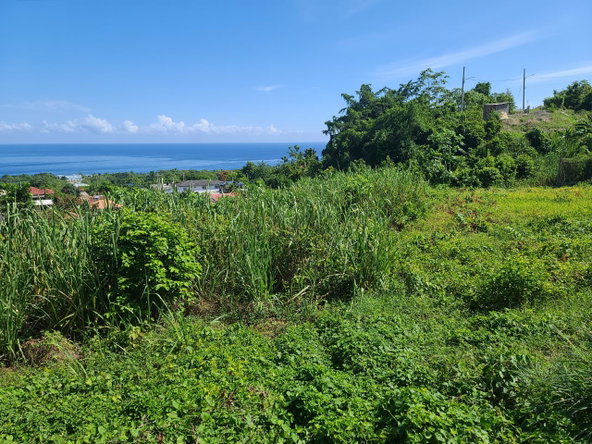 Eleventh image of 2- Boscobel in Boscobel, St. Mary, Jamaica - property is For Sale