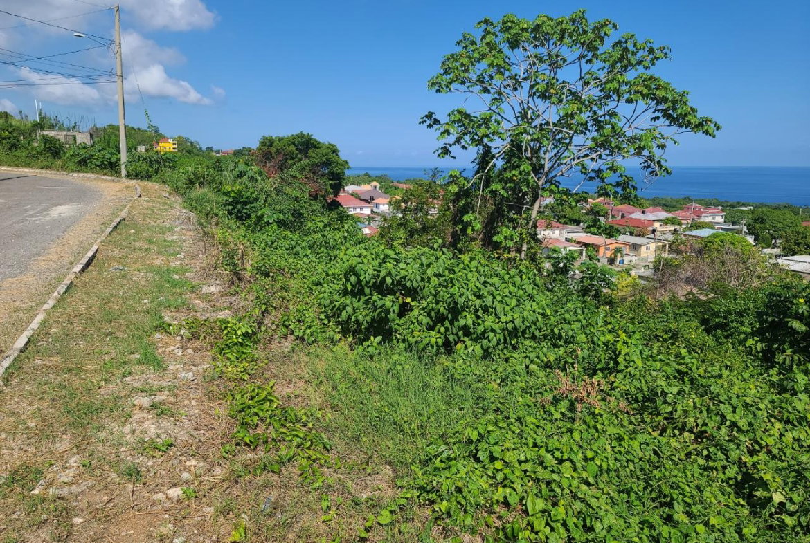 Twelfth image of 2- Boscobel in Boscobel, St. Mary, Jamaica - property is For Sale