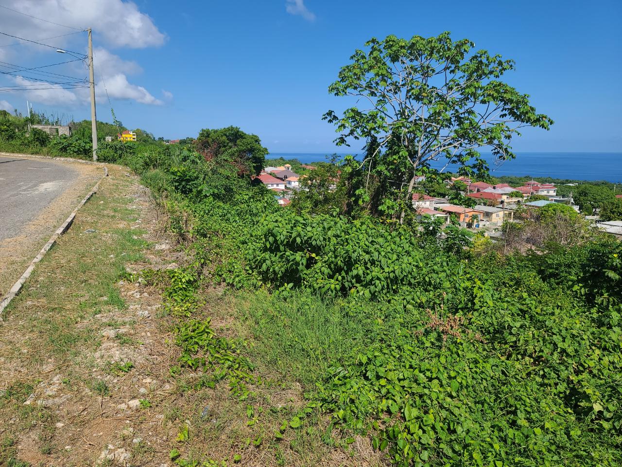 Twelfth image of 2- Boscobel in Boscobel, St. Mary, Jamaica - property is For Sale