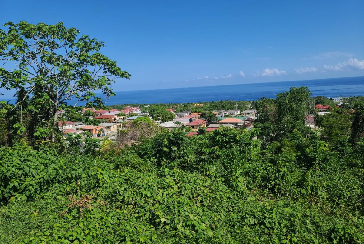 Thirteenth image of 2- Boscobel in Boscobel, St. Mary, Jamaica - property is For Sale