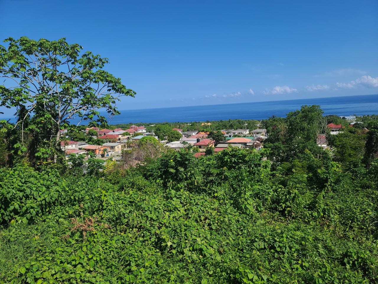 Thirteenth image of 2- Boscobel in Boscobel, St. Mary, Jamaica - property is For Sale