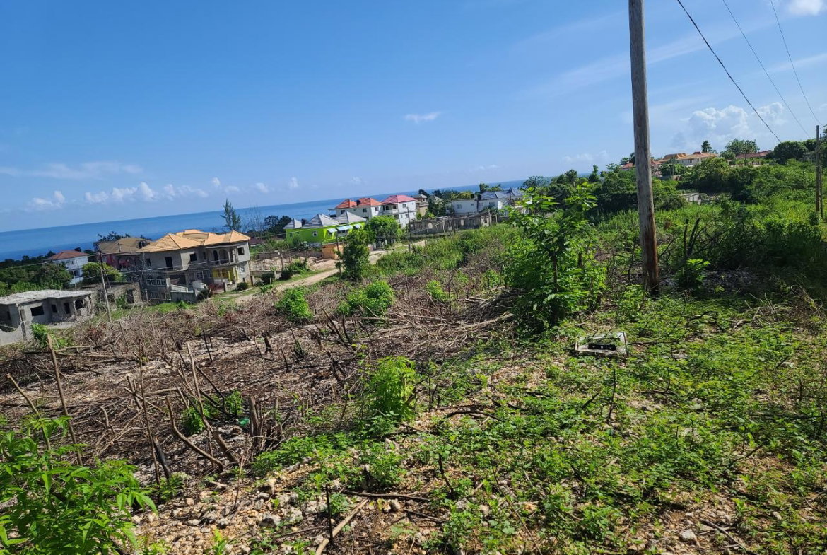 Fifteenth image of 2- Boscobel in Boscobel, St. Mary, Jamaica - property is For Sale