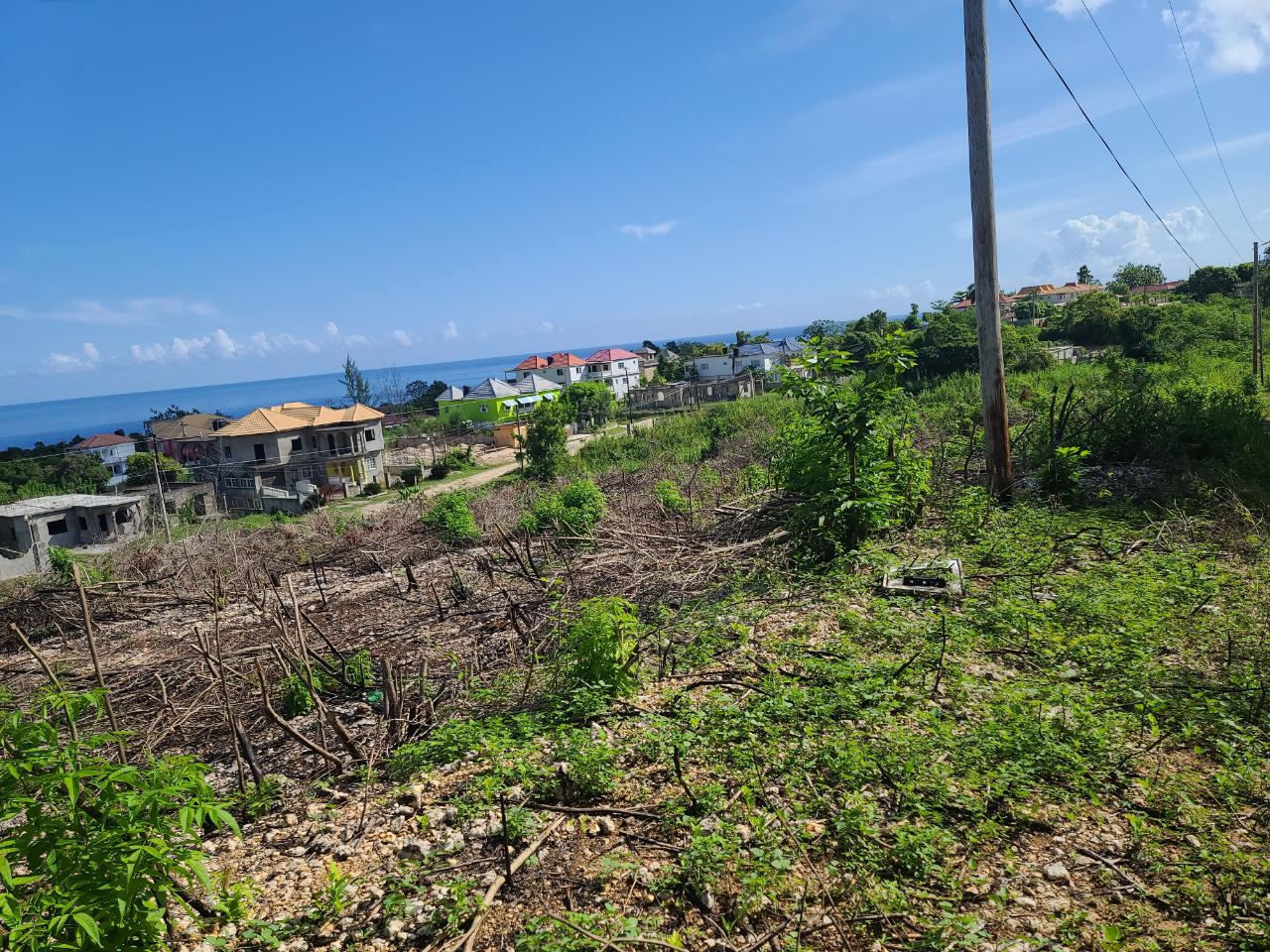 Fifteenth image of 2- Boscobel in Boscobel, St. Mary, Jamaica - property is For Sale
