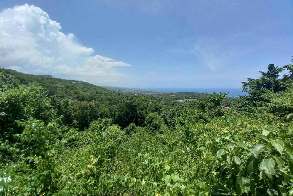 Second image of Cardiff Hall in Runaway Bay, St. Ann, Jamaica - property is For Sale