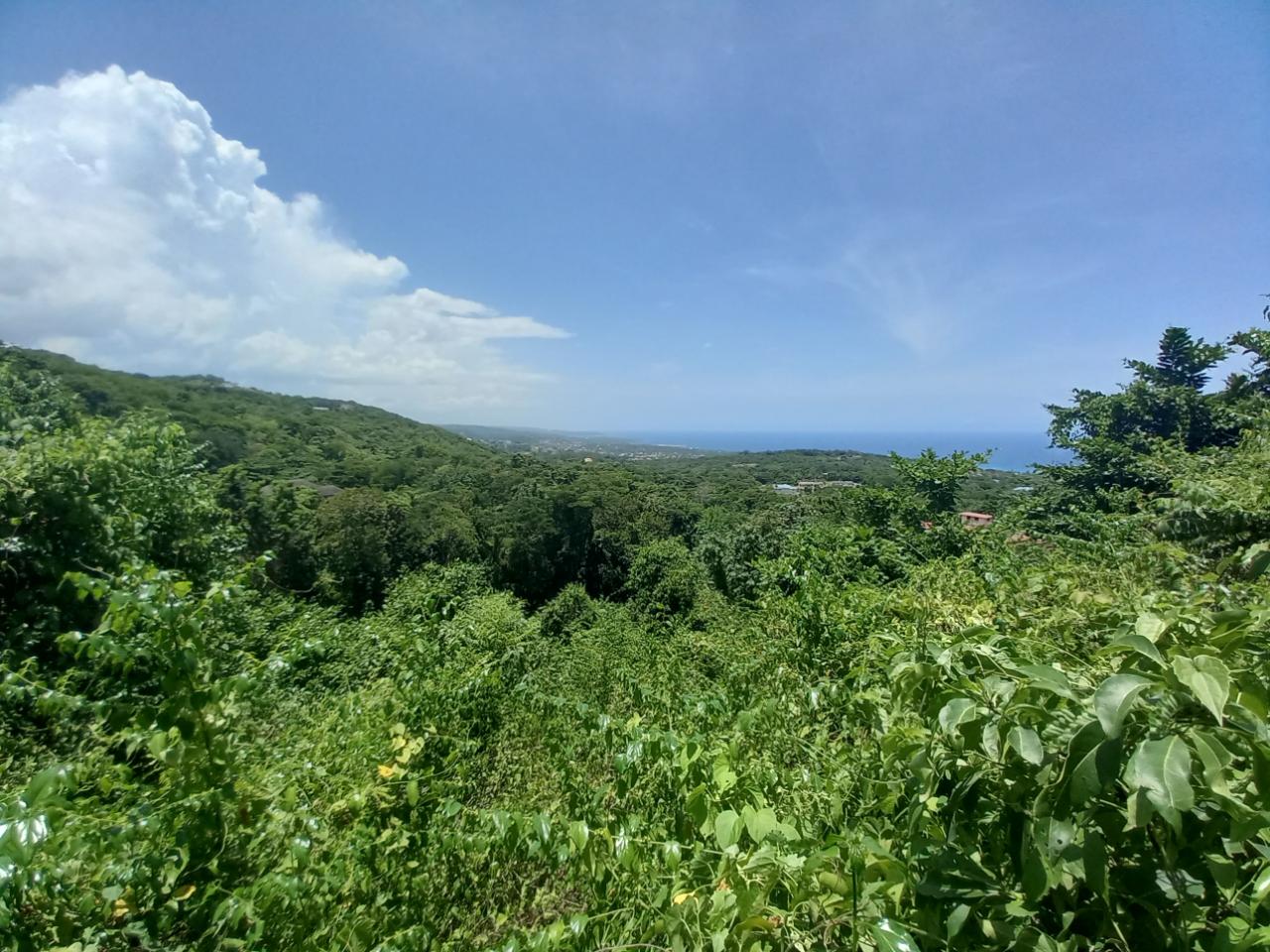 Second image of Cardiff Hall in Runaway Bay, St. Ann, Jamaica - property is For Sale