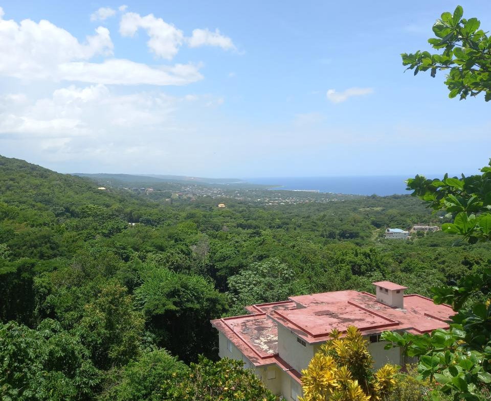 Fourth image of Cardiff Hall in Runaway Bay, St. Ann, Jamaica - property is For Sale