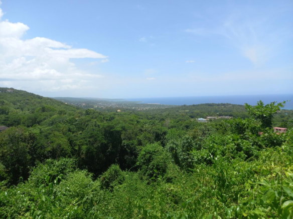 First image of Cardiff Hall in Runaway Bay, St. Ann, Jamaica - property is For Sale