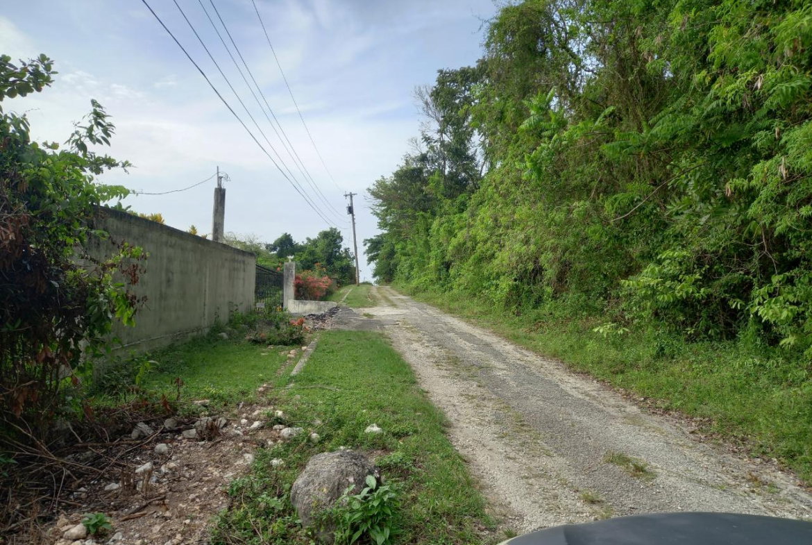 Ninth image of Cardiff Hall in Runaway Bay, St. Ann, Jamaica - property is For Sale