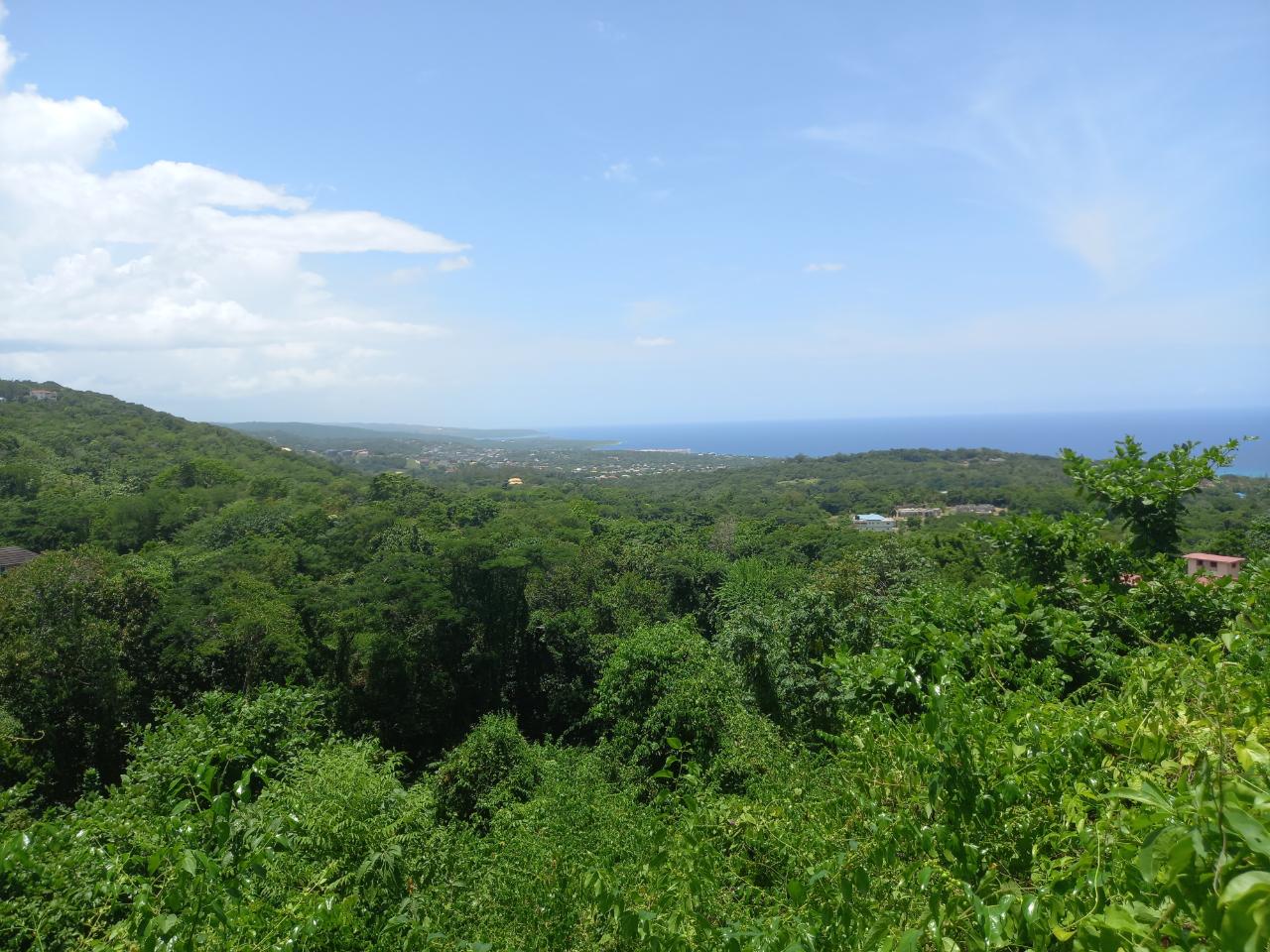 First image of Cardiff Hall in Runaway Bay, St. Ann, Jamaica - property is For Sale