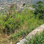First image of 2a East Armour Heights in Kingston 8, St. Andrew, Jamaica - property is For Sale