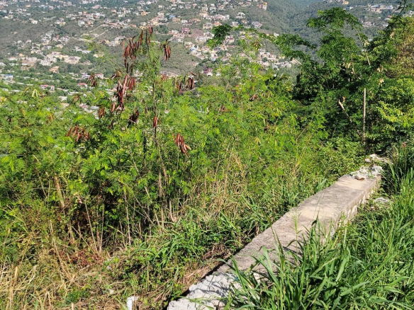 First image of 2a East Armour Heights in Kingston 8, St. Andrew, Jamaica - property is For Sale