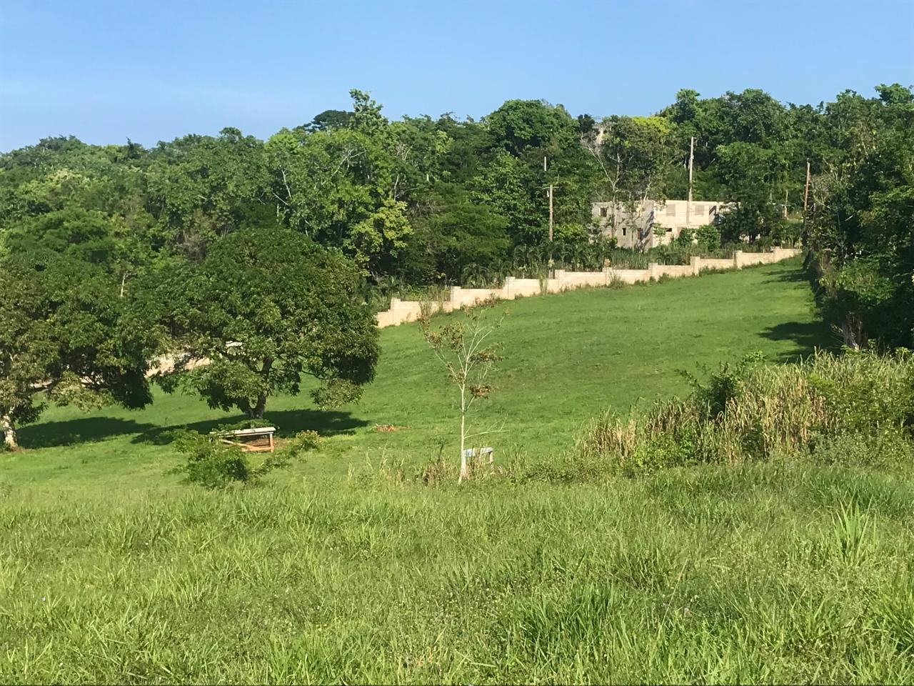Third image of Lot 33 Edgehill Estate in Huddersfield Heights, St. Mary, Jamaica - property is For Sale