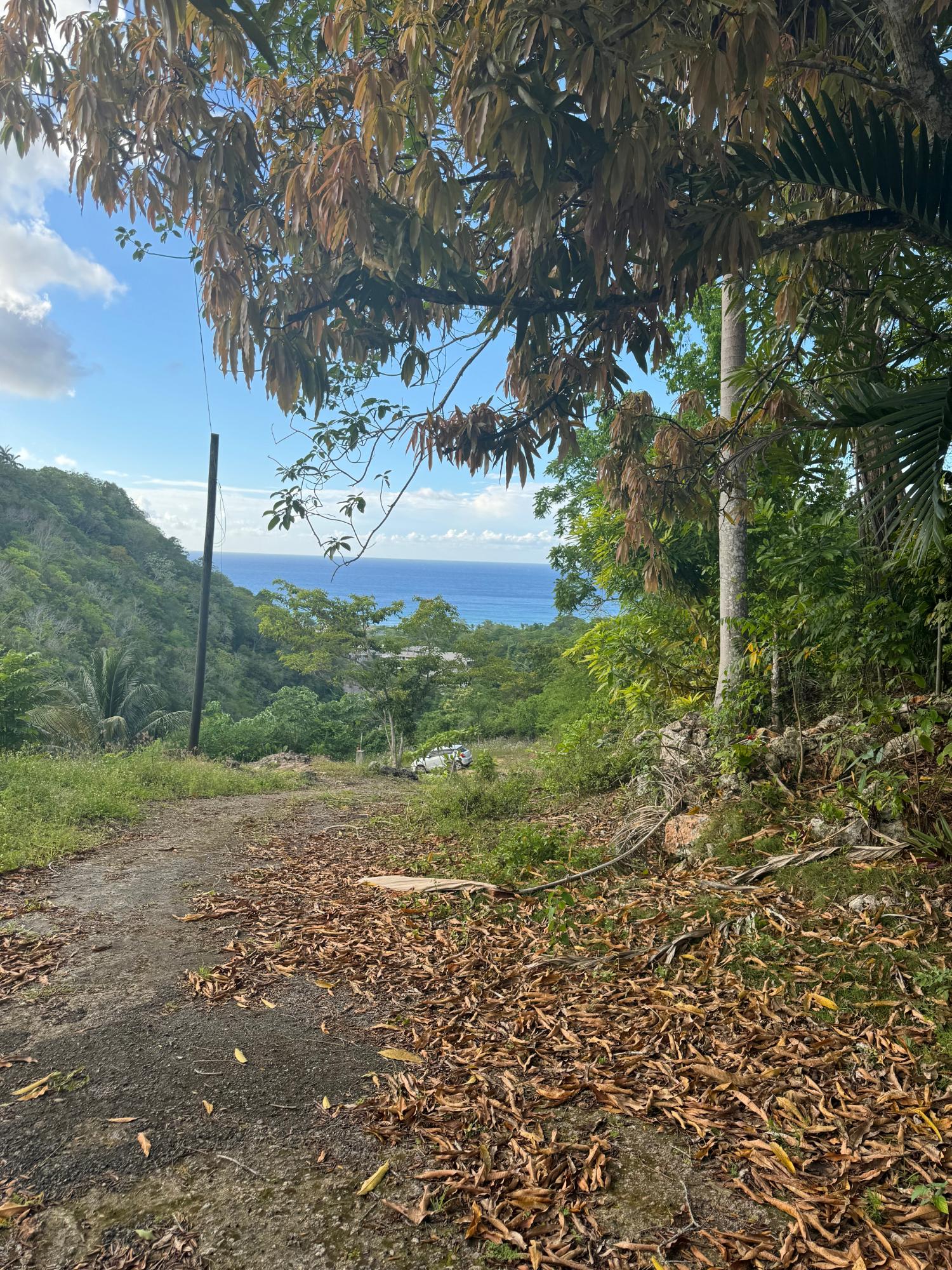 Third image of 17 Gibraltar Oracabessa in Oracabessa, St. Mary, Jamaica - property is For Sale