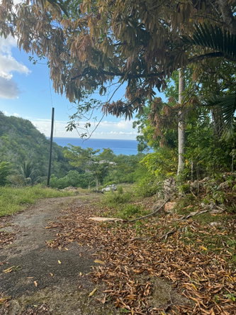Third image of 17 Gibraltar Oracabessa in Oracabessa, St. Mary, Jamaica - property is For Sale