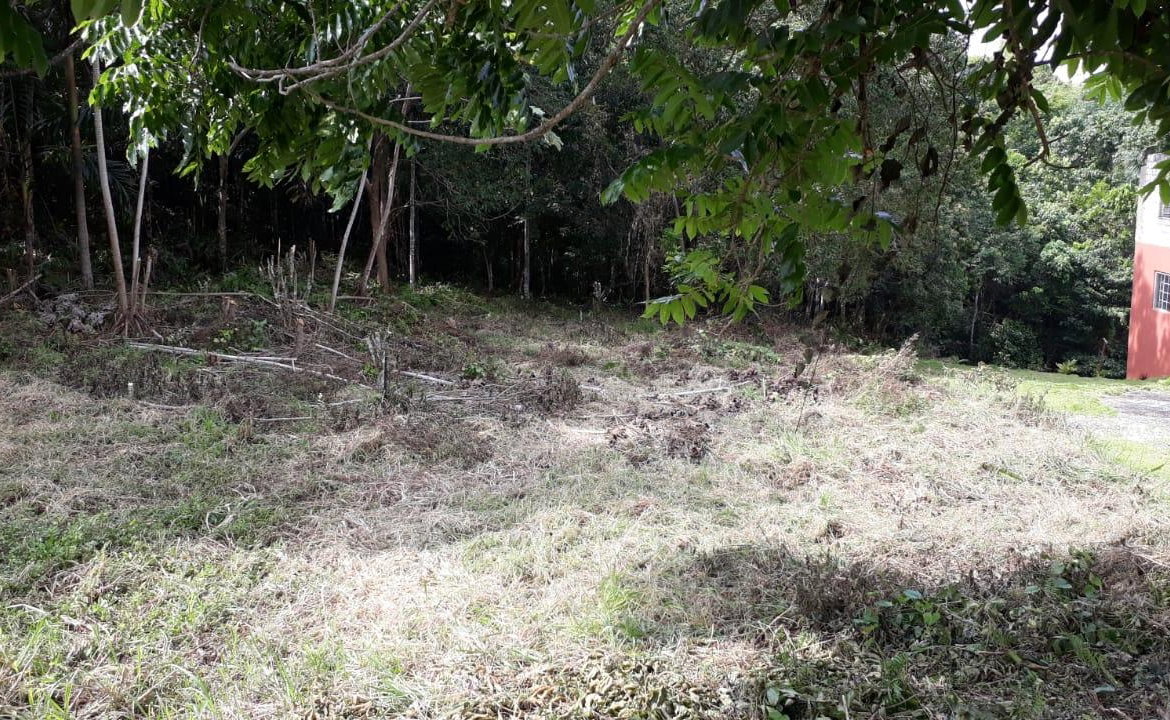 Second image of Block 1b, Ingleside in Mandeville, Manchester, Jamaica - property is For Sale
