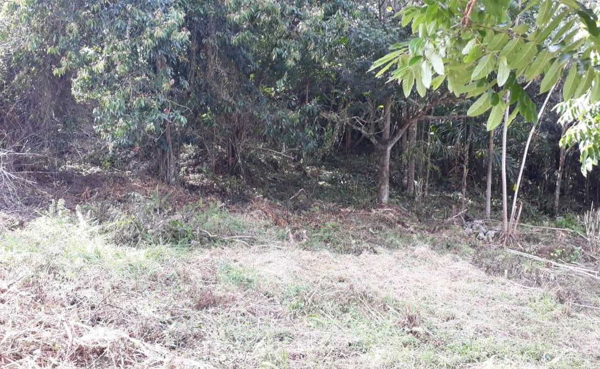 Third image of Block 1b, Ingleside in Mandeville, Manchester, Jamaica - property is For Sale