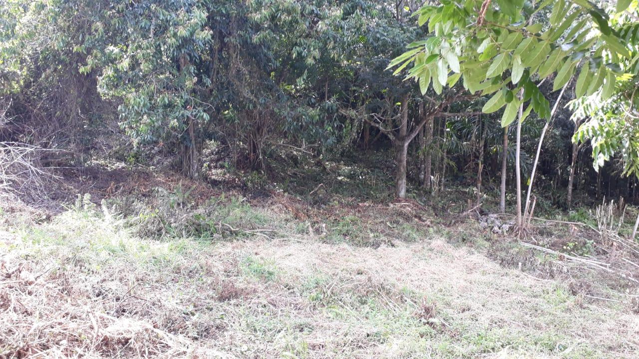 Third image of Block 1b, Ingleside in Mandeville, Manchester, Jamaica - property is For Sale