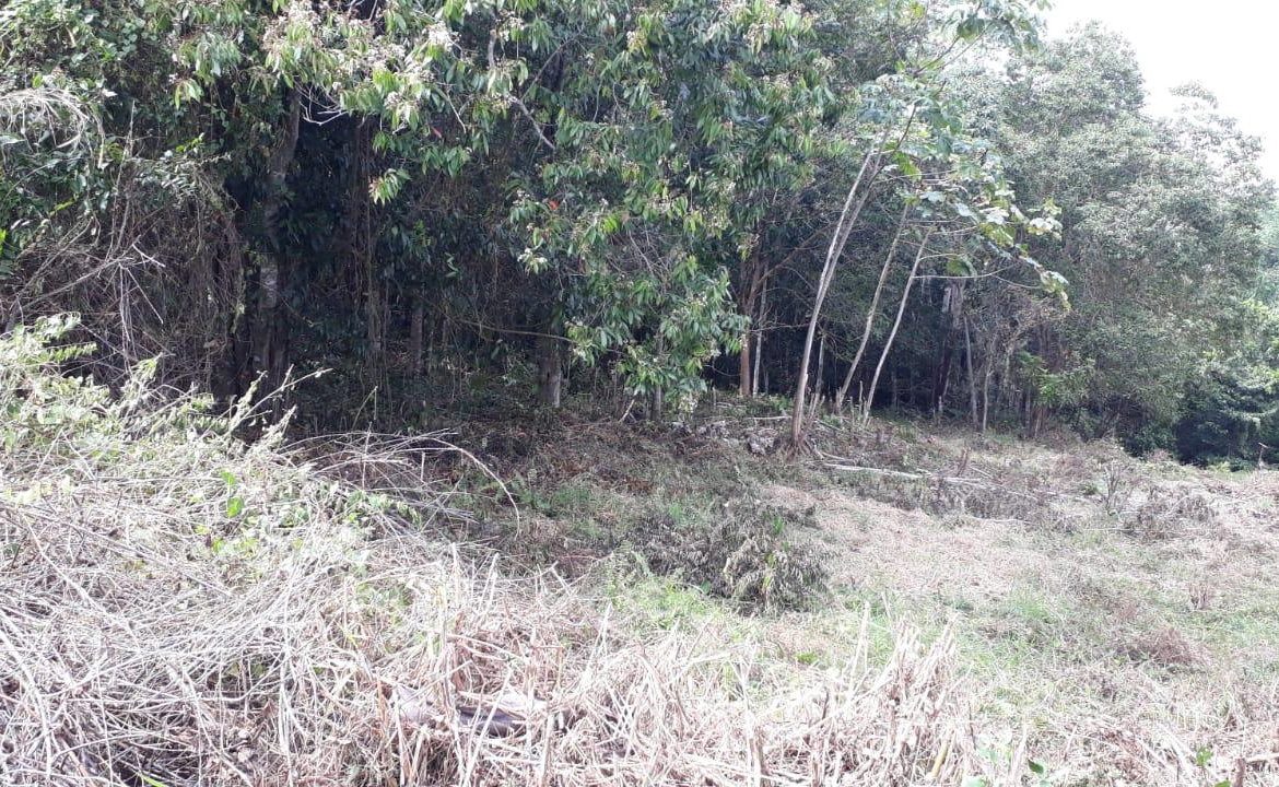 Fourth image of Block 1b, Ingleside in Mandeville, Manchester, Jamaica - property is For Sale