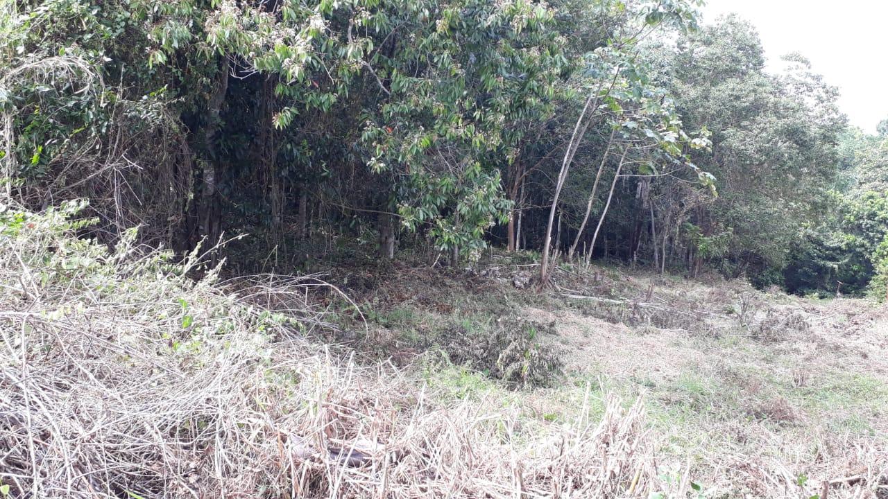 Fourth image of Block 1b, Ingleside in Mandeville, Manchester, Jamaica - property is For Sale