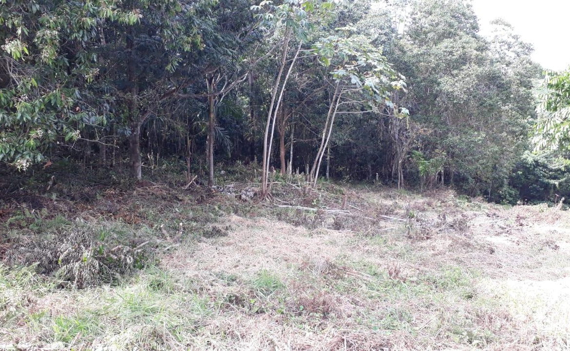 Fifth image of Block 1b, Ingleside in Mandeville, Manchester, Jamaica - property is For Sale