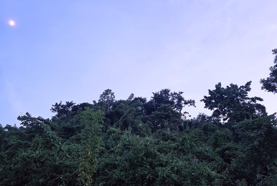 Second image of 548 Haughton Tower Estate in Montego Bay, St. James, Jamaica - property is For Sale