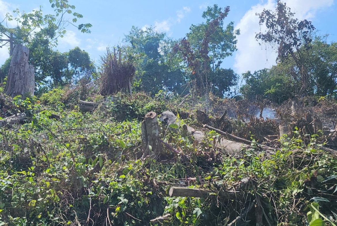 Thirteenth image of 548 Haughton Tower Estate in Montego Bay, St. James, Jamaica - property is For Sale