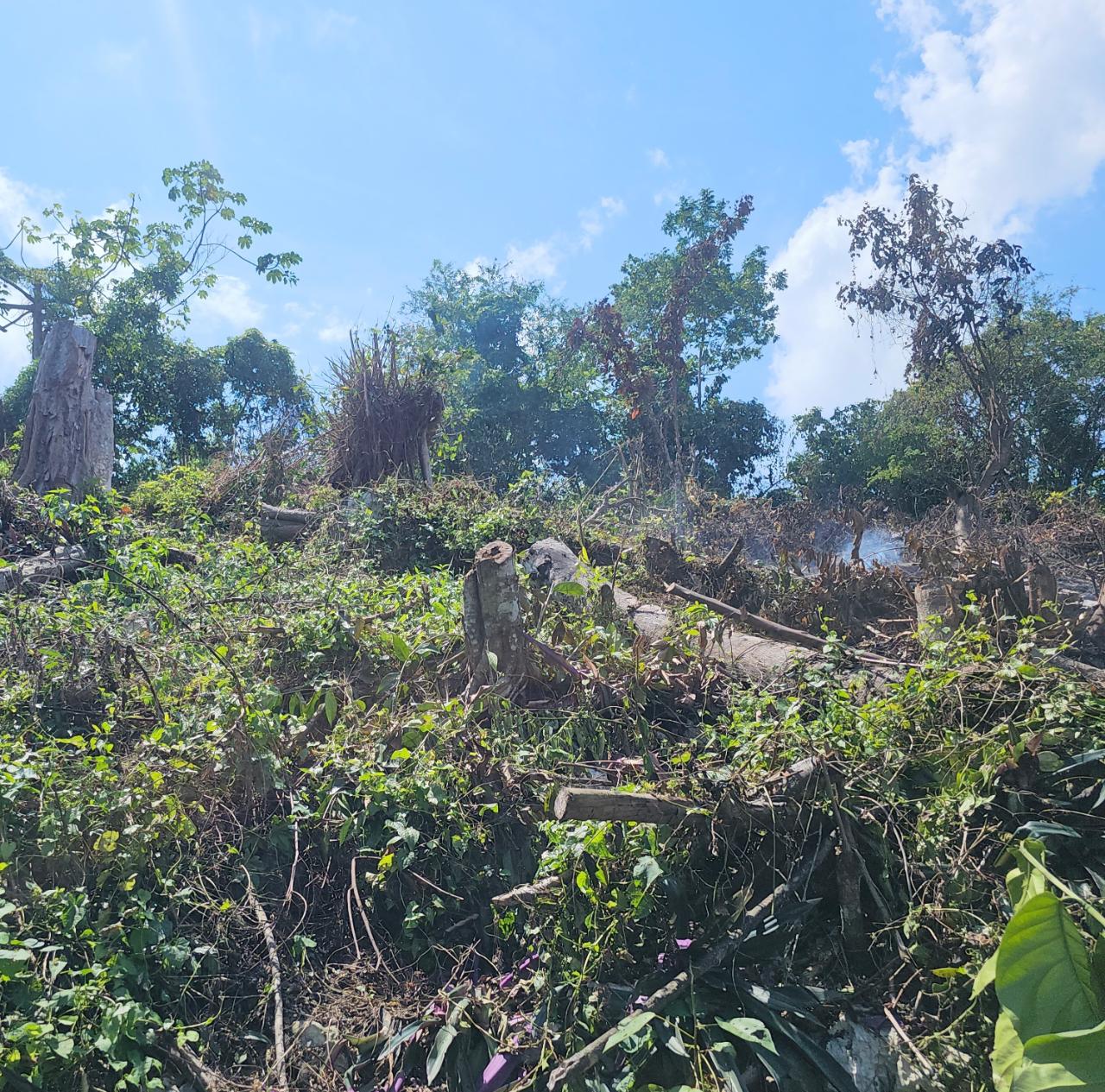 Thirteenth image of 548 Haughton Tower Estate in Montego Bay, St. James, Jamaica - property is For Sale