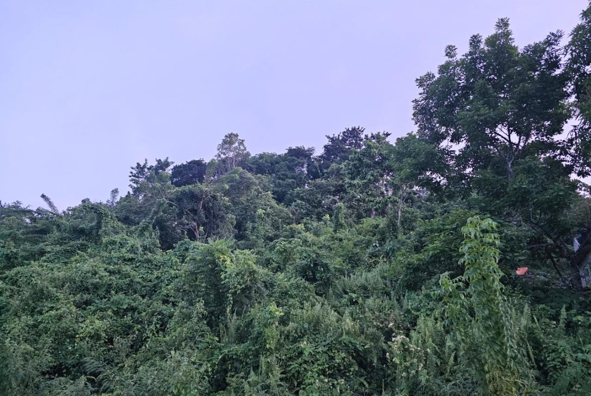 Fourth image of 548 Haughton Tower Estate in Montego Bay, St. James, Jamaica - property is For Sale