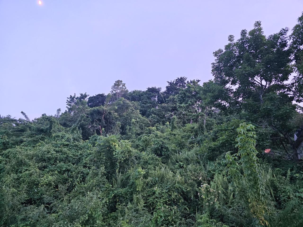 Fourth image of 548 Haughton Tower Estate in Montego Bay, St. James, Jamaica - property is For Sale