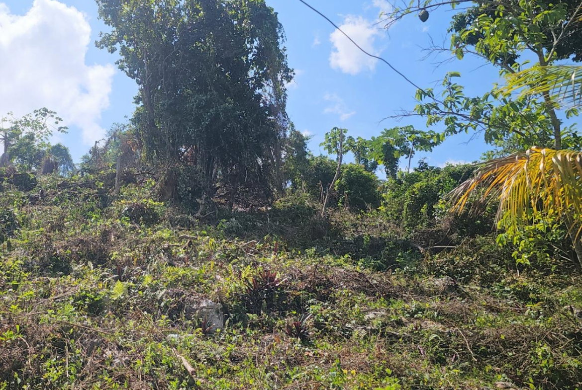 Seventh image of 548 Haughton Tower Estate in Montego Bay, St. James, Jamaica - property is For Sale