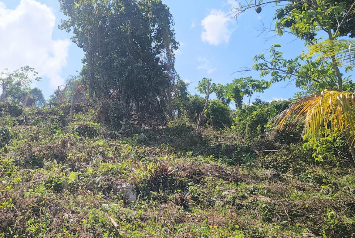 Eighth image of 548 Haughton Tower Estate in Montego Bay, St. James, Jamaica - property is For Sale