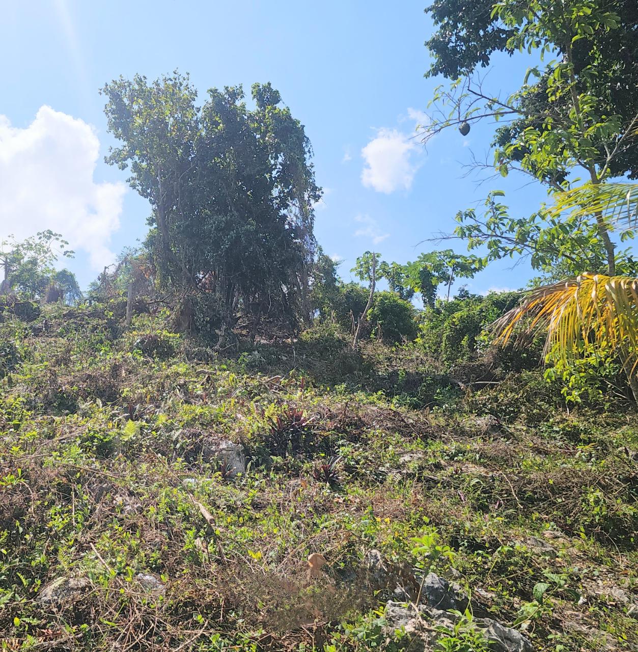 Eighth image of 548 Haughton Tower Estate in Montego Bay, St. James, Jamaica - property is For Sale