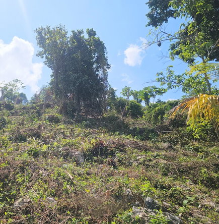 Eighth image of 548 Haughton Tower Estate in Montego Bay, St. James, Jamaica - property is For Sale