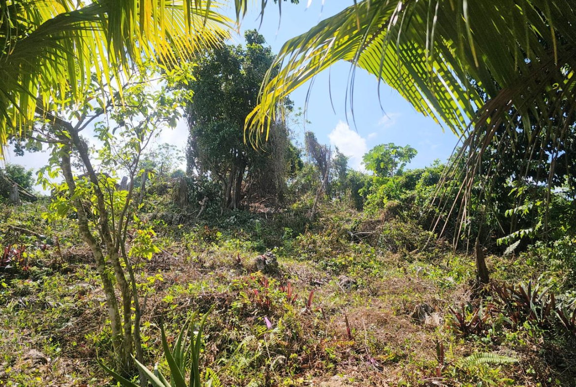 Ninth image of 548 Haughton Tower Estate in Montego Bay, St. James, Jamaica - property is For Sale