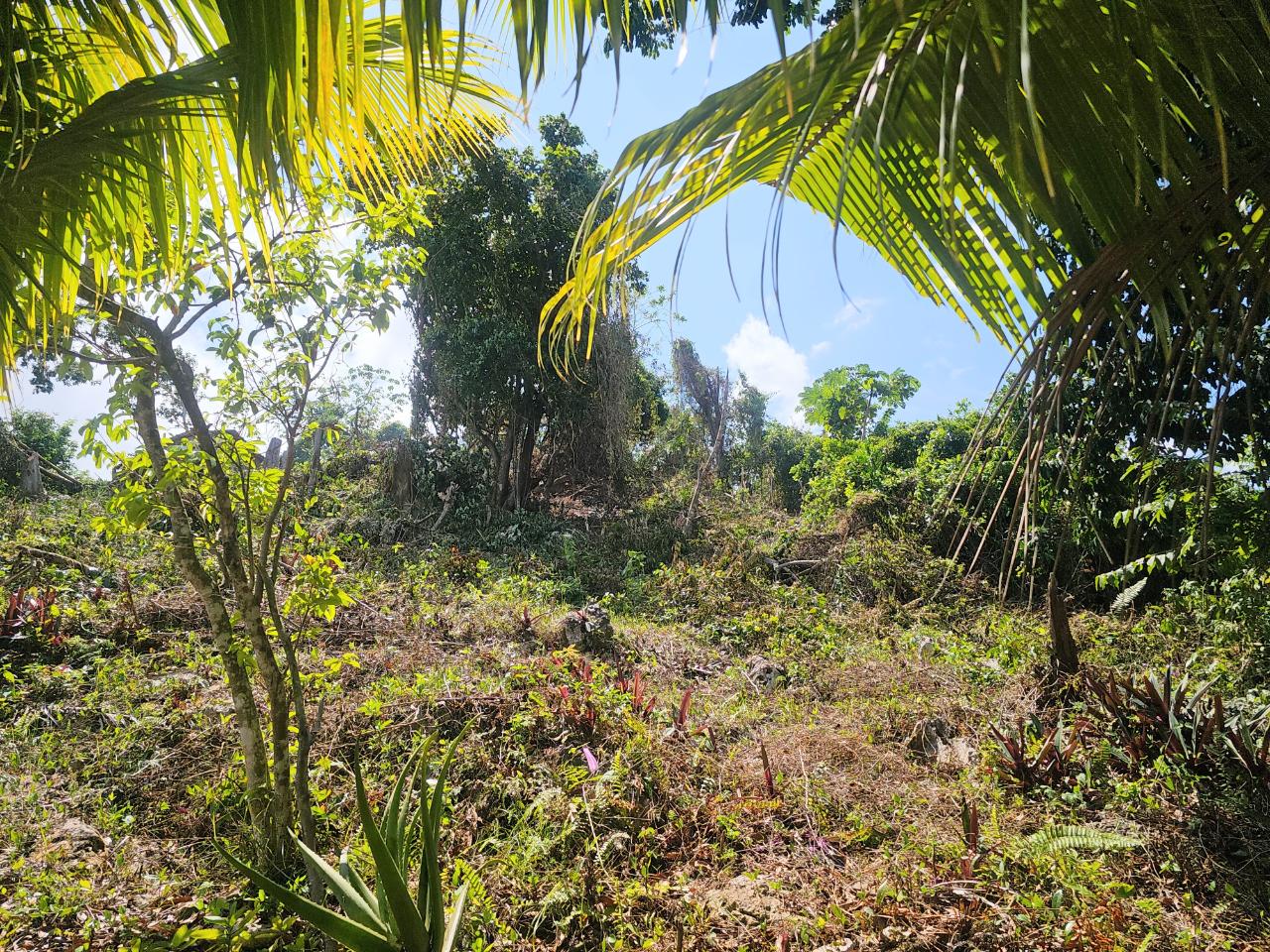 Ninth image of 548 Haughton Tower Estate in Montego Bay, St. James, Jamaica - property is For Sale