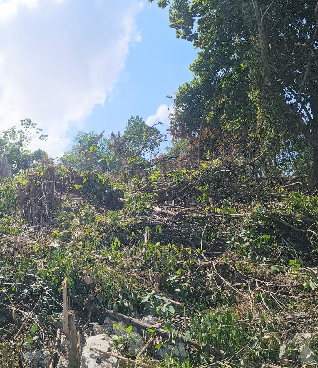 Tenth image of 548 Haughton Tower Estate in Montego Bay, St. James, Jamaica - property is For Sale