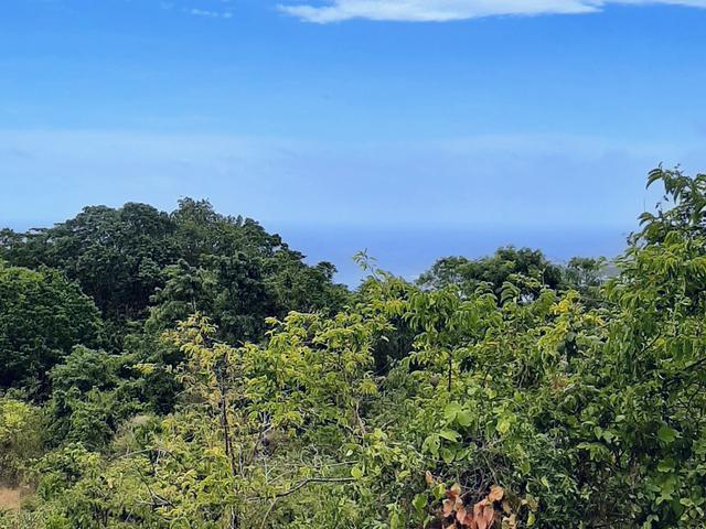 Fifth image of 2 Jack's Lodge in Discovery Bay, St. Ann, Jamaica - property is For Sale